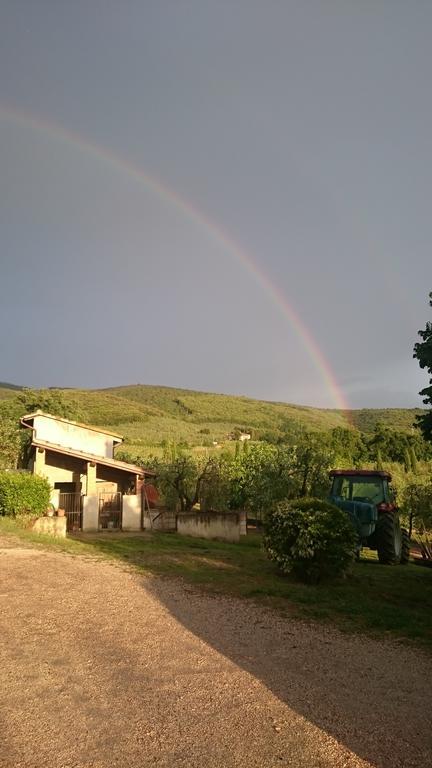 Borgo Buciardella Villa Baschi Exteriör bild