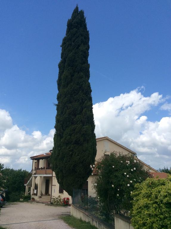 Borgo Buciardella Villa Baschi Exteriör bild