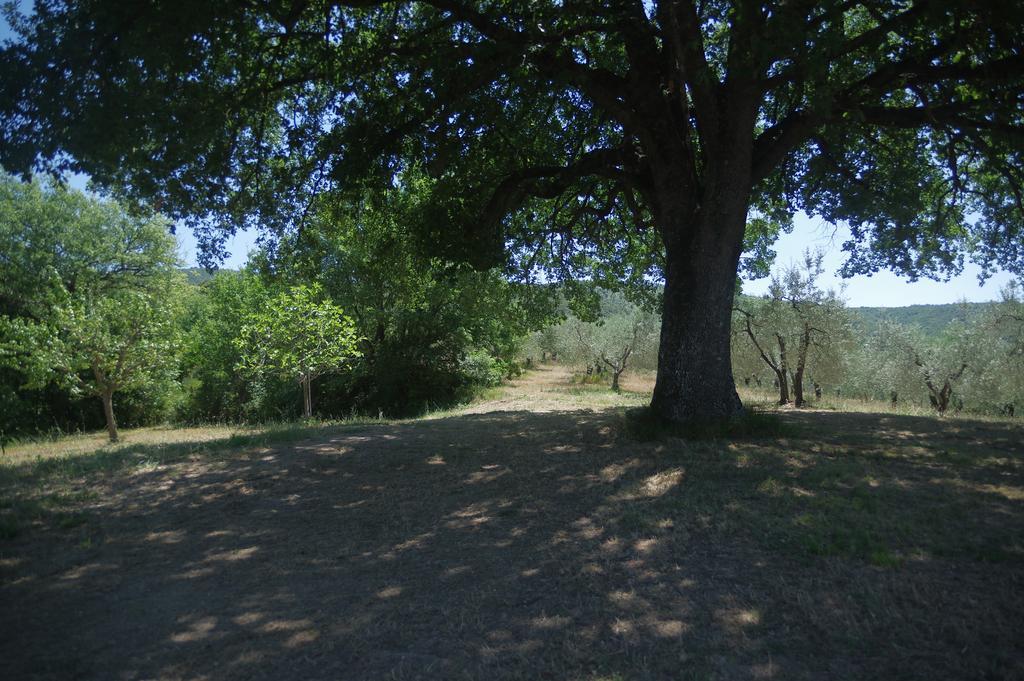 Borgo Buciardella Villa Baschi Exteriör bild